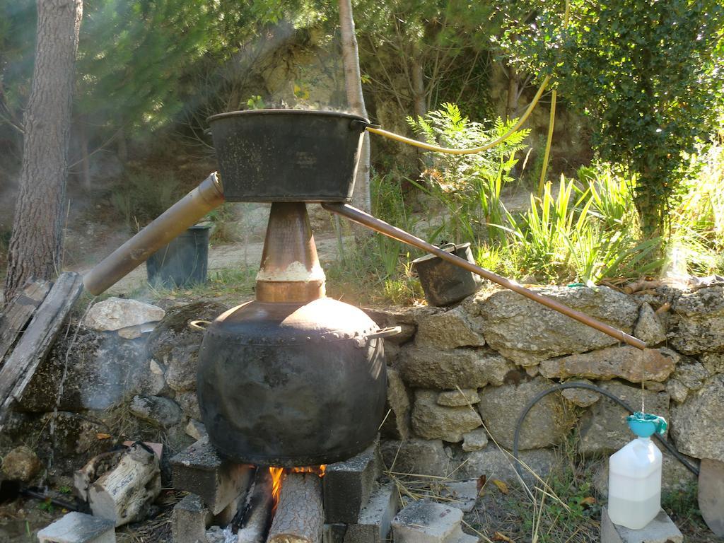 Quinta Do Circo - Serra Da Estrela - Turismo Rural Cortes do Meio Exteriér fotografie